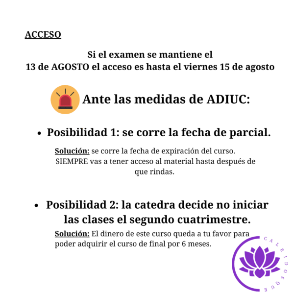 Ps. Social-1° parcial- 2025 - Image 3