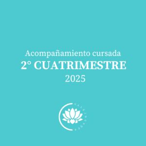Ps. Social. Cursada- 2° Cuatrimestre- 2025