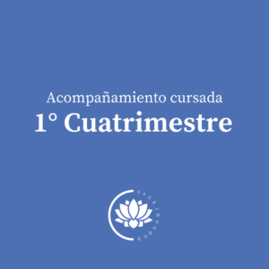 OVO- 1° Cuatrimestre/2026